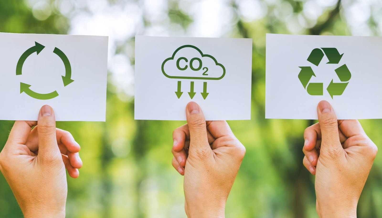 Kecantikan Berkelanjutan: Lebih Hijau dan Bertanggung Jawab